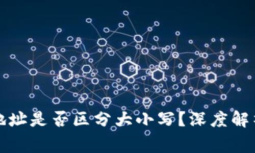 TP钱包收款地址是否区分大小写?深度解析与注意事项