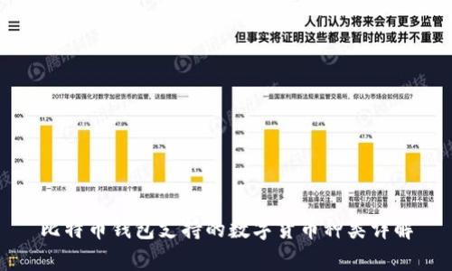 比特币钱包支持的数字货币种类详解