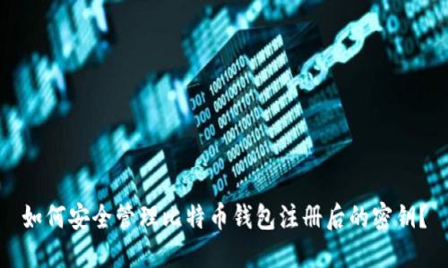 如何安全管理比特币钱包注册后的密钥?