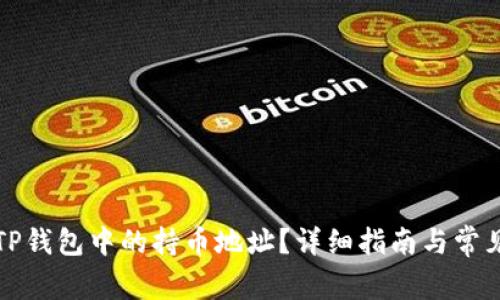 如何查询TP钱包中的持币地址?详细指南与常见问题解答
