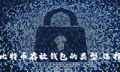 全面解析比特币存放钱包的类型、选择与安全性