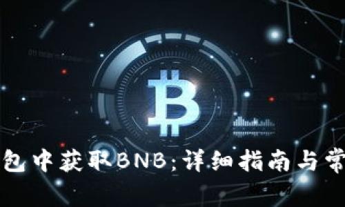 如何在TP钱包中获取BNB:详细指南与常见问题解析