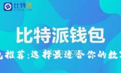 比特币实体钱包推荐：选择最适合你的