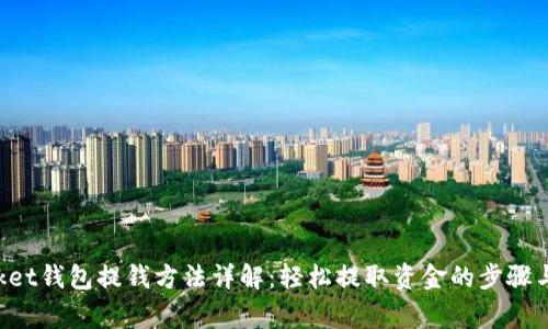 TokenPocket钱包提钱方法详解:轻松提取资金的步骤与注意事项