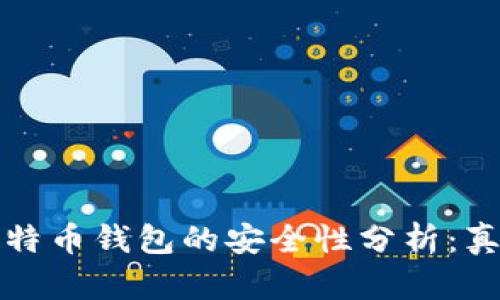 实体比特币钱包的安全性分析:真相揭秘