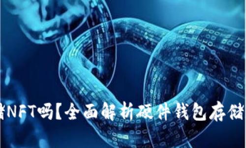 TP硬钱包能存储NFT吗？全面解析硬件钱包存储数字资产的能力