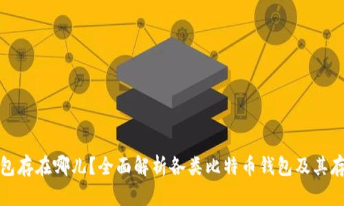 比特币钱包存在哪儿?全面解析各类比特币钱包及其存储安全性