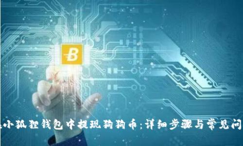 如何在小狐狸钱包中提现狗狗币:详细步骤与常见问题解答
