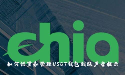 如何设置和管理USDT钱包到账声音提示