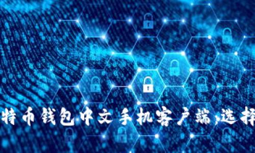 全面解析比特币钱包中文手机客户端:选择与使用指南