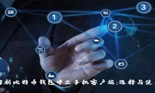 全面解析比特币钱包中文手机客户端:选择与使用指南