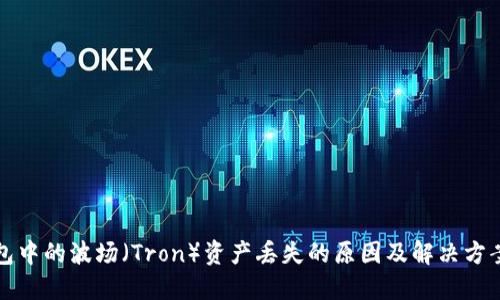 TP钱包中的波场(Tron)资产丢失的原因及解决方案详解
