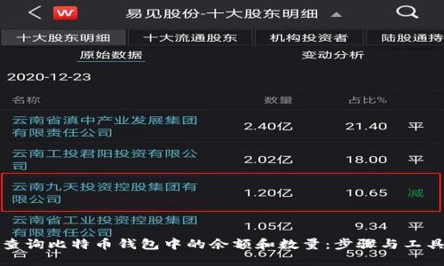 如何查询比特币钱包中的余额和数量:步骤与工具详解