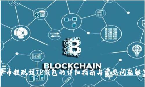 中币提现到TP钱包的详细指南与常见问题解答