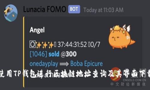 如何使用TP钱包进行区块链地址查询及其界面下载指南