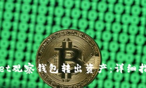 i如何从TokenPocket观察钱包转出资产：详细指南与常见问题解答