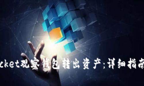 i如何从TokenPocket观察钱包转出资产：详细指南与常见问题解答