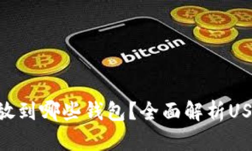  USDT都能放到哪些钱包？全面解析USDT钱包选择