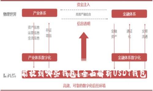  USDT都能放到哪些钱包？全面解析USDT钱包选择
