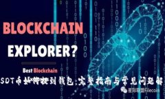 USDT币如何提到钱包：完整指南与常见