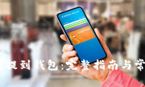 USDT币如何提到钱包:完整指南与常见问题解析