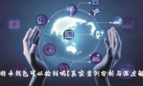 比特币钱包可以捡到吗?真实案例分析与深度解读