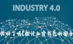 TP钱包被收回了吗？探讨加密钱包的安