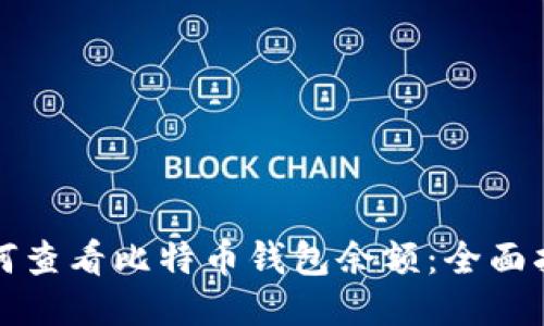 如何查看比特币钱包余额:全面指南