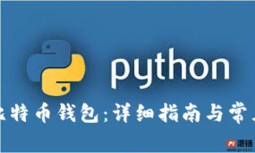 如何安装比特币钱包:详细指南与常见问题解答