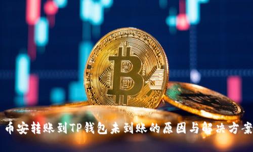 币安转账到TP钱包未到账的原因与解决方案