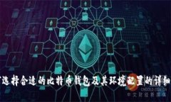 如何选择合适的比特币钱包及其环境配