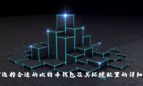 如何选择合适的比特币钱包及其环境配置的详细指南