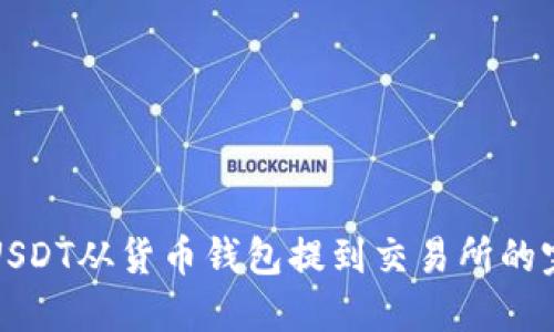 如何将USDT从货币钱包提到交易所的完整指南