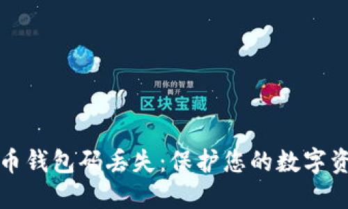 如何应对比特币钱包码丢失:保护您的数字资产的全面指南