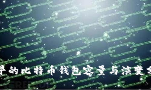 最早的比特币钱包容量与演变分析
