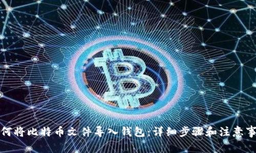 如何将比特币文件导入钱包:详细步骤和注意事项