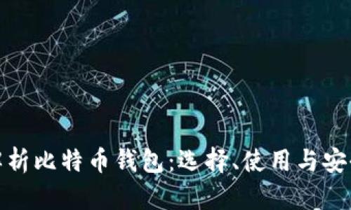 全面解析比特币钱包:选择、使用与安全策略