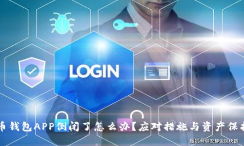 比特币钱包APP倒闭了怎么办?应对措施与资产保护指南