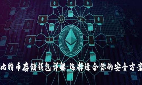比特币存储钱包详解:选择适合你的安全方案