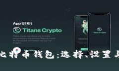 全面解析比特币钱包：选择、设置与安