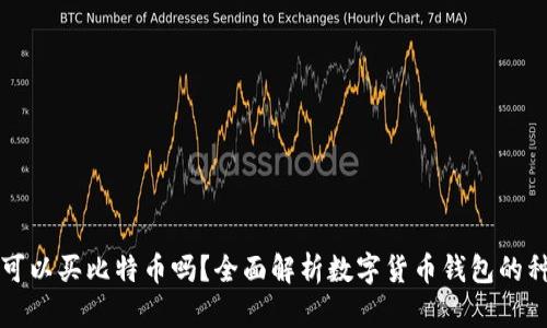 在钱包里可以买比特币吗?全面解析数字货币钱包的种类与使用