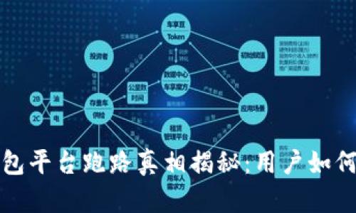 比特币Plus钱包平台跑路真相揭秘:用户如何保护资金安全