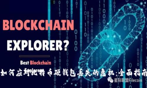 如何应对比特币硬钱包丢失的危机:全面指南