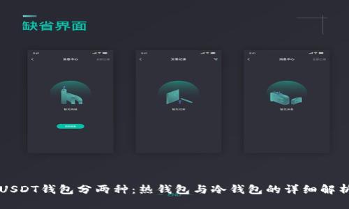 USDT钱包分两种:热钱包与冷钱包的详细解析