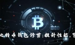 : 全面解析比特币钱包修剪：提升性能