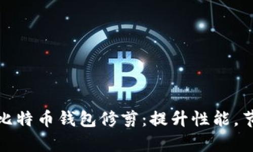 : 全面解析比特币钱包修剪:提升性能,节省存储空间