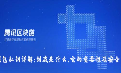 狗狗币钱包私钥详解:到底是什么,它的重要性及安全注意事项