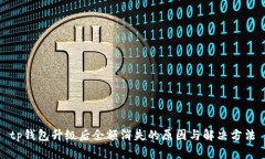 tp钱包升级后余额消失的原因与解决方