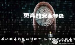 在没有比特币钱包的情况下，如何进行