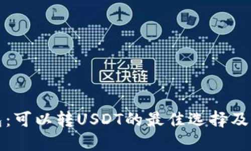 推荐钱包:可以转USDT的最佳选择及详细指南